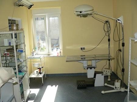 pwzawierciegaleria06